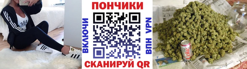 Купить  Сурск  Бошки марихуана OG Kush 